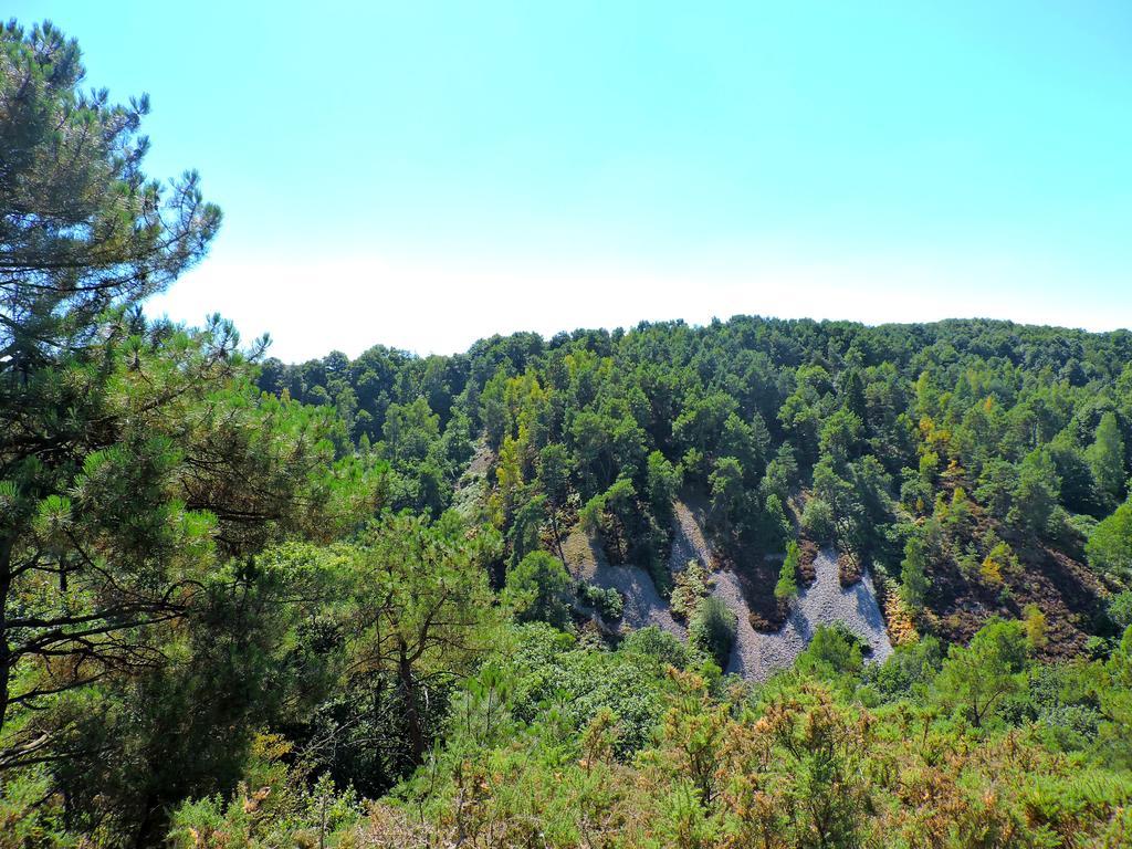 Gite Le Bourgneuf Fresnay-sur-Sarthe Kültér fotó